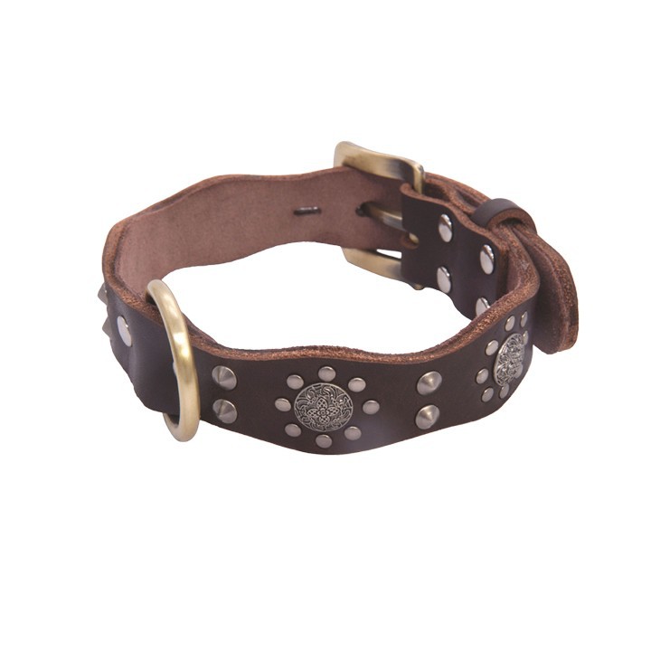 Luxury Leather Dog Collar