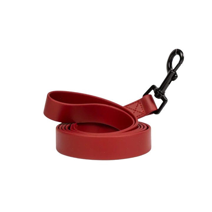 पीवीसी में टिकाऊ वाटरप्रूफ डॉग लीड