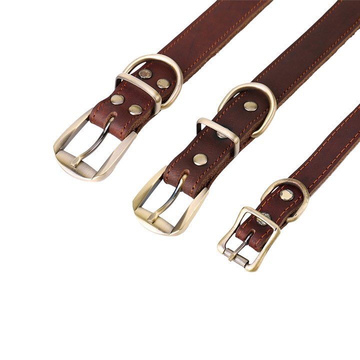 Heavy Duty Dog Collar