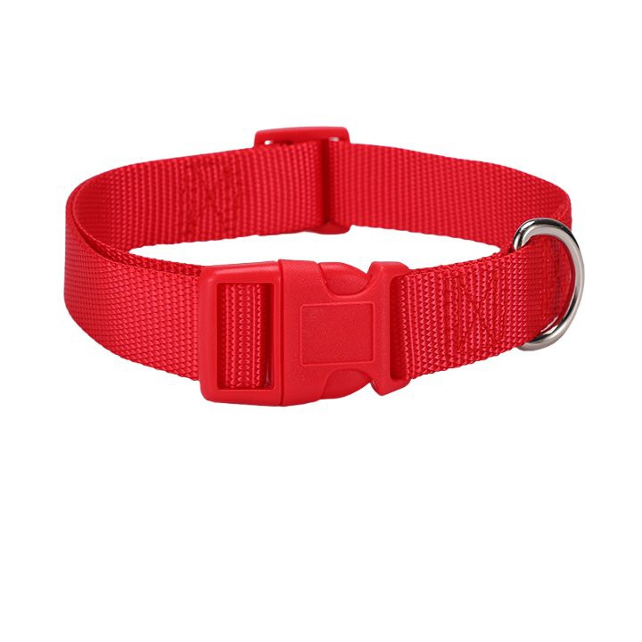 नायलॉन कुत्ते का कॉलर
