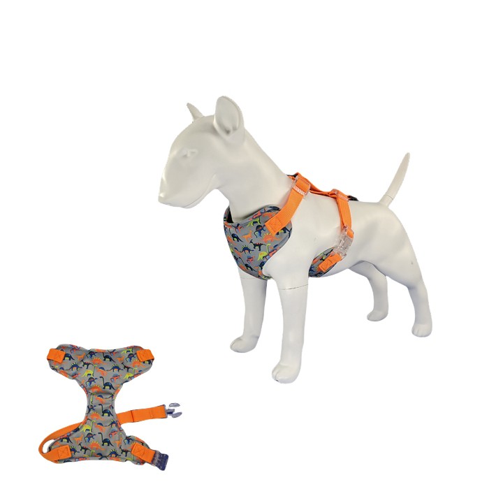 Dinosaur harness