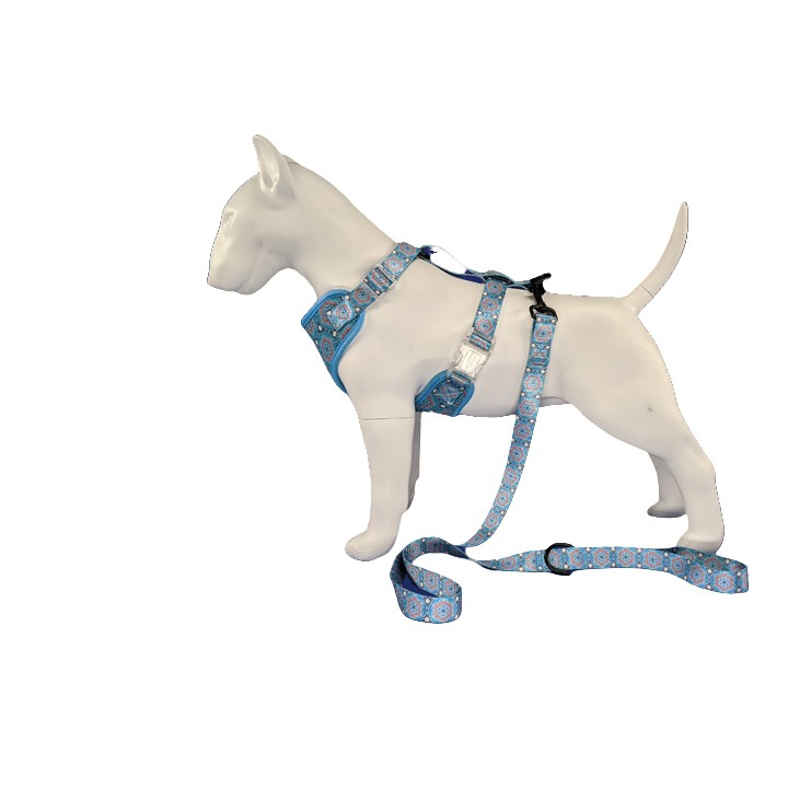 Harness for walking