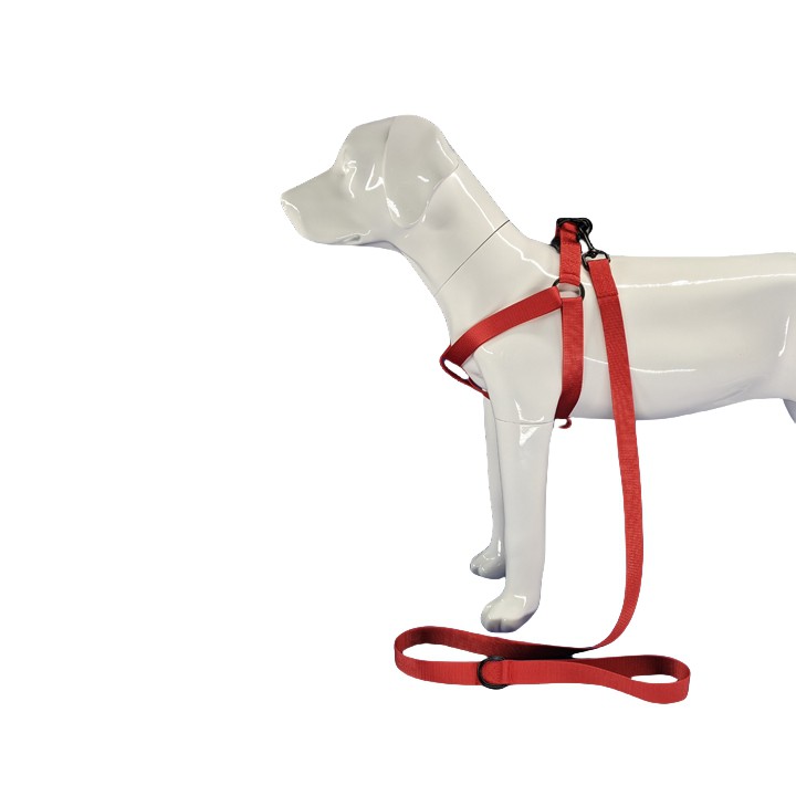 रेड डॉग हार्नेस