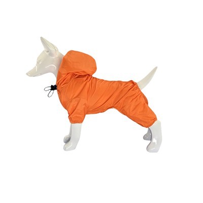 प्यारा कुत्ता रेनकोट