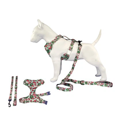 प्यारा शीतल कुत्ता हार्नेस