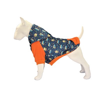 सर्दियों के लिए कुत्ते के कपड़े