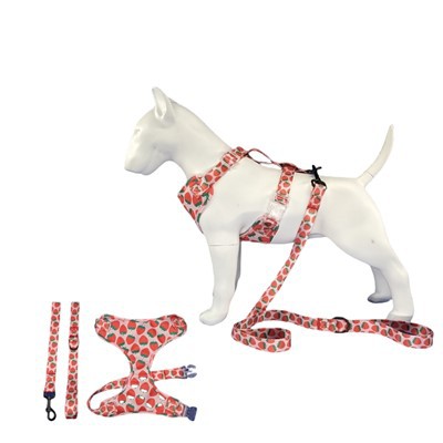 लड़की कुत्ते हार्नेस