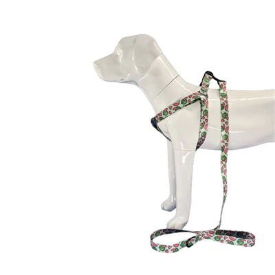 हाल्टर डॉग हार्नेस