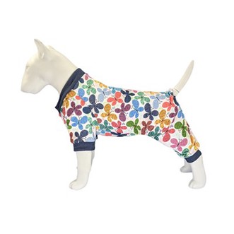 बड़ा कुत्ता पजामा