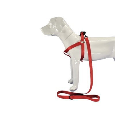 रेड डॉग हार्नेस