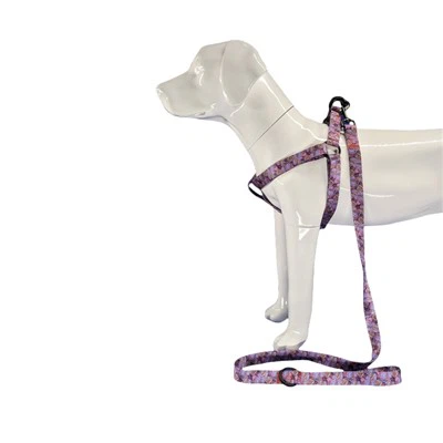 डॉग हार्नेस में रिबन स्टेप