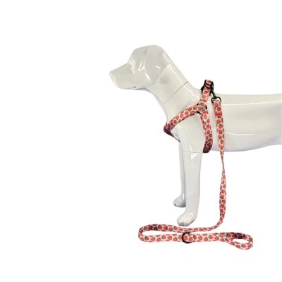 स्ट्रॉबेरी डॉग हार्नेस