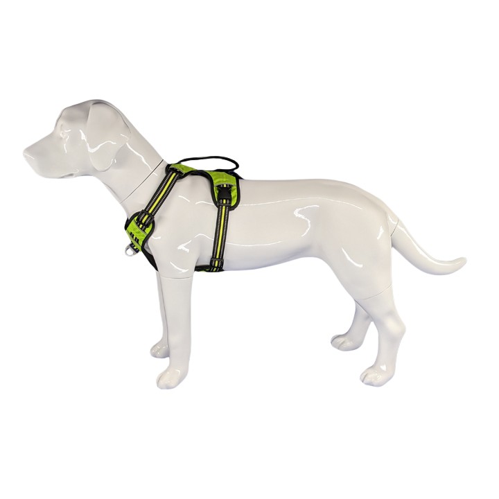 Dog harness
