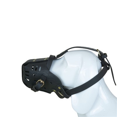 कुत्तों के लिए बास्केट पहेलियाँ