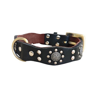 शास्त्रीय चमड़ा कुत्ता कॉलर