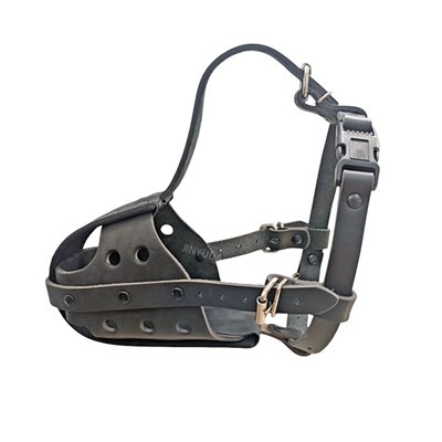 बुलडॉग के लिए कुत्ते की थूथन