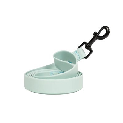 हेवी ड्यूटी पीवीसी कुत्ते का पट्टा