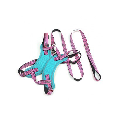 नो पुल डॉग हार्नेस और लीश सेट