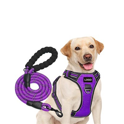 वैयक्तिकृत लोगो डॉग हार्नेस और रस्सी डॉग लीश सेट