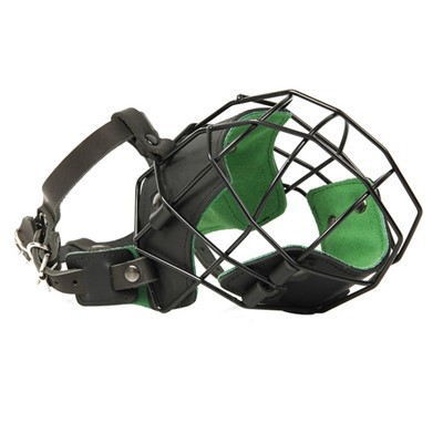 पिटबुल कुत्ता थूथन