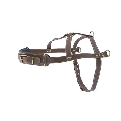 बड़े कुत्तों के लिए प्रीमियम लेदर डॉग हार्नेस