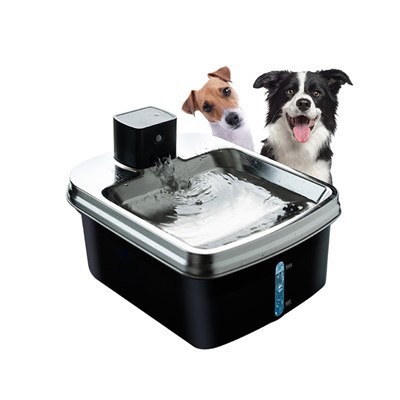 स्मार्ट डॉग वॉटर फाउंटेन